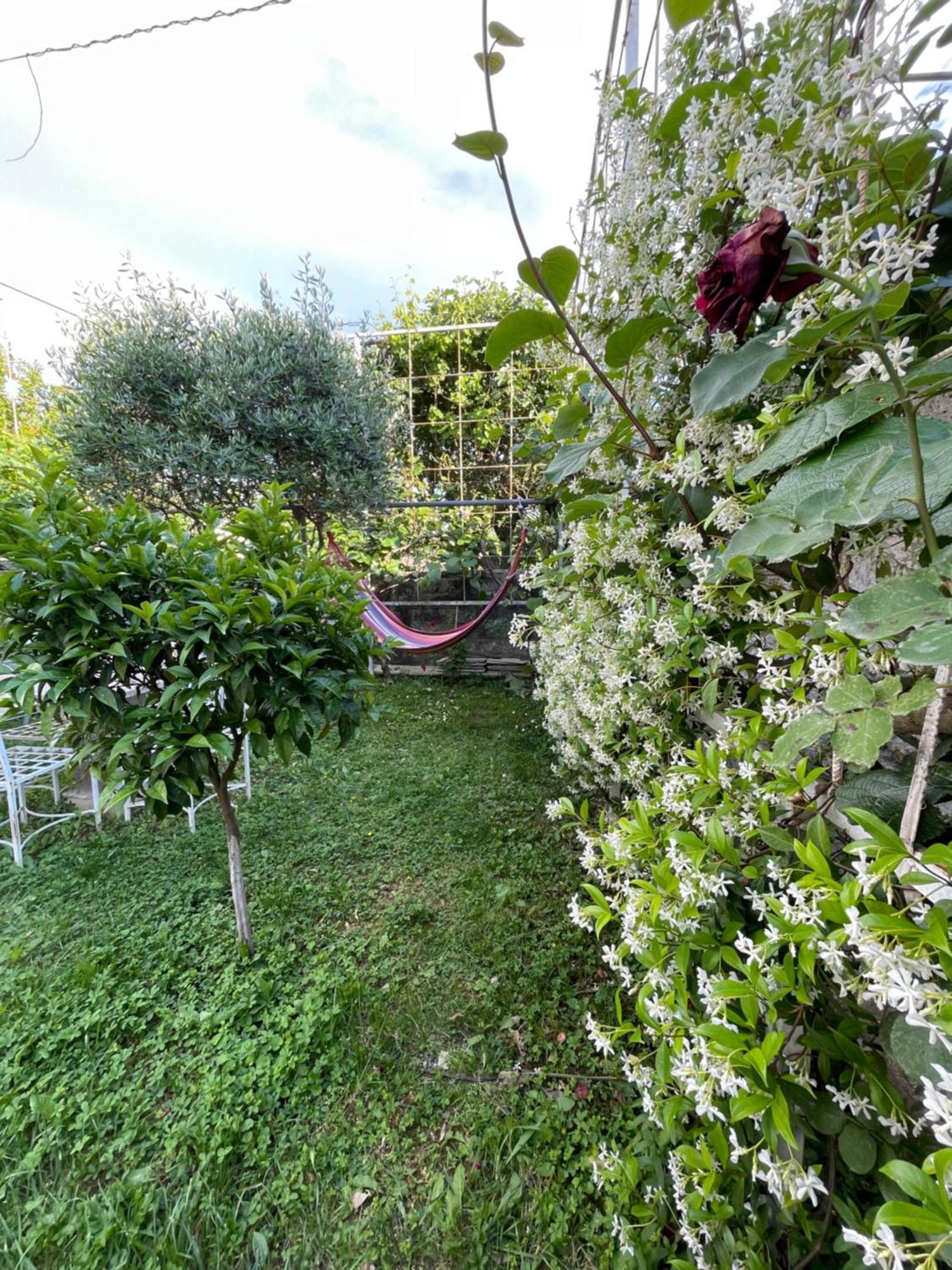 Vila Nela Σκόδρα Εξωτερικό φωτογραφία