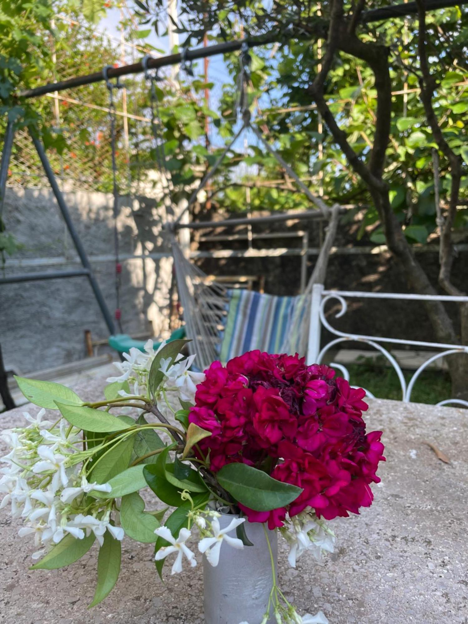 Vila Nela Σκόδρα Εξωτερικό φωτογραφία