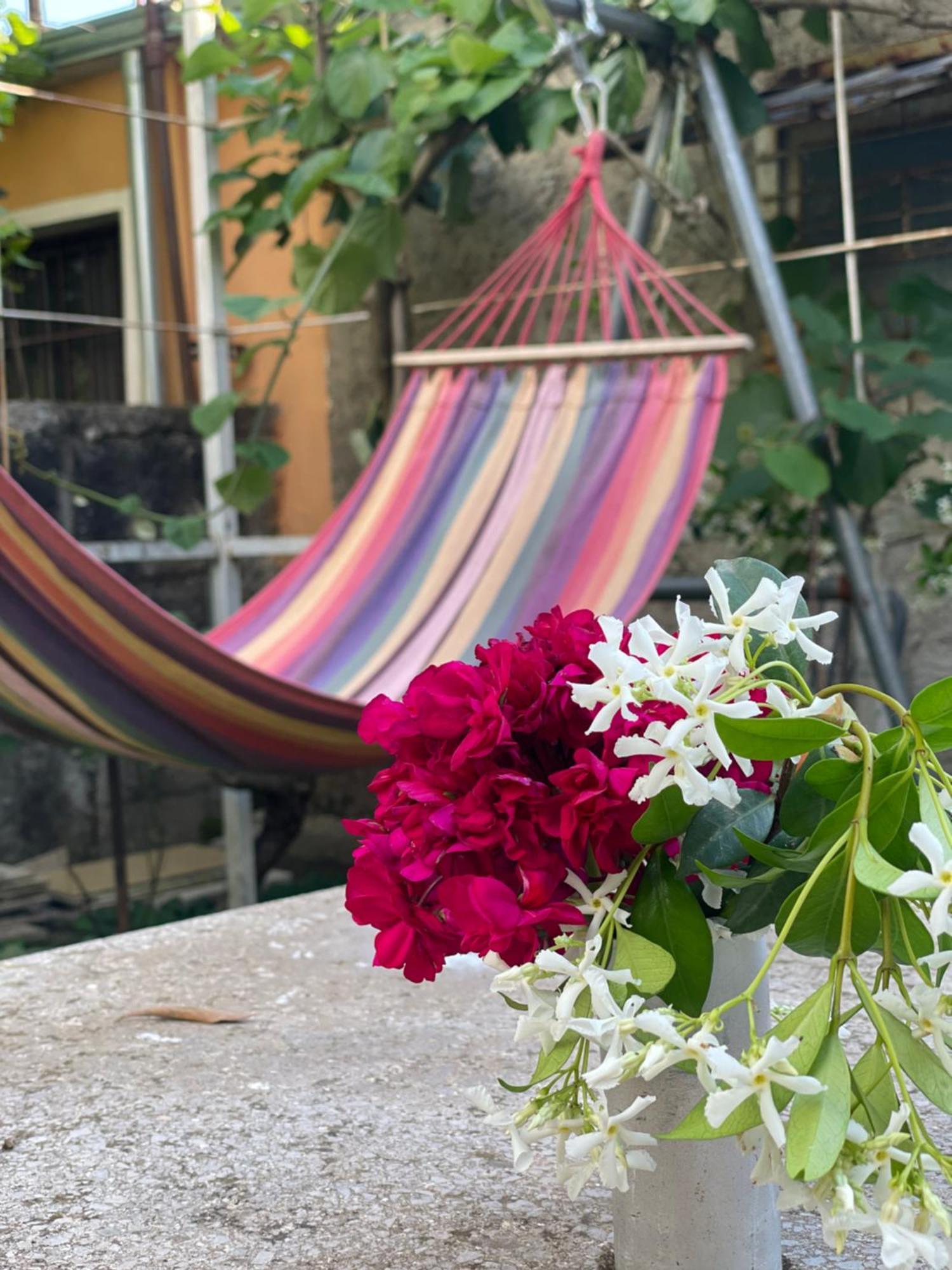 Vila Nela Σκόδρα Εξωτερικό φωτογραφία