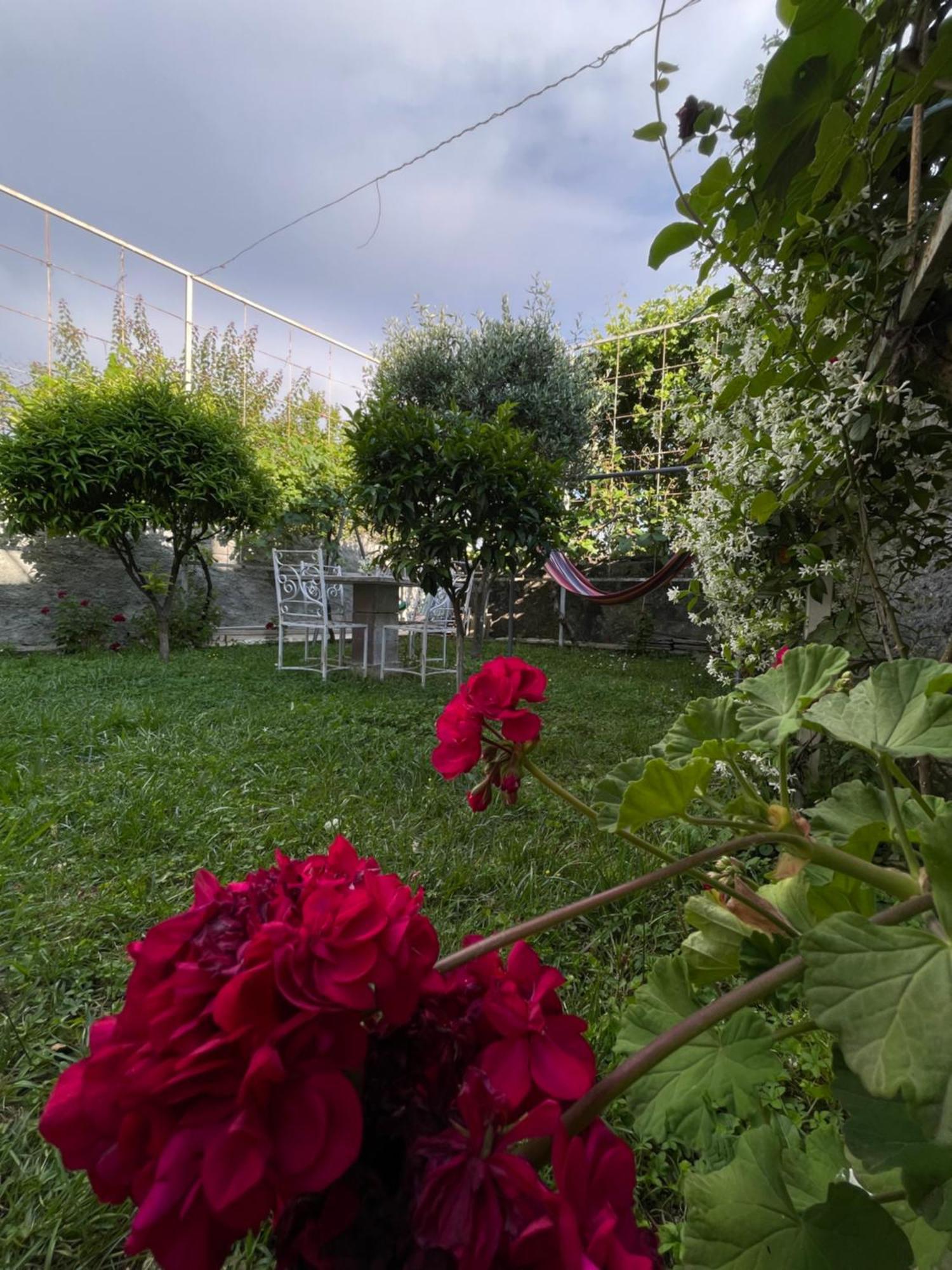 Vila Nela Σκόδρα Εξωτερικό φωτογραφία